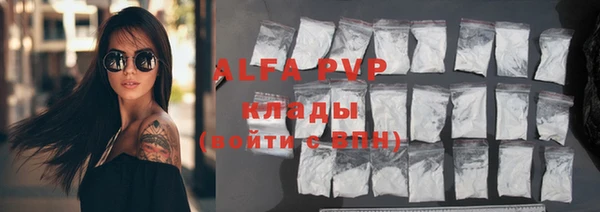 Альфа ПВП Верея