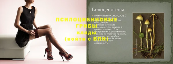 соль ск Володарск