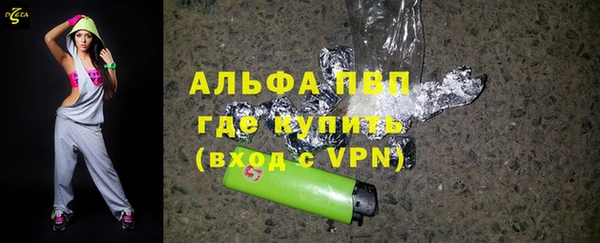 амф Верхний Тагил