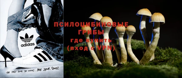 круглые Белокуриха